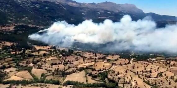 Isparta’ da orman yangını: Müdahaleler devam ediyor!