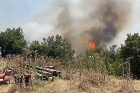 İzmir Buca’da bir orman yangını daha Havadan ve karadan müdahale başladı