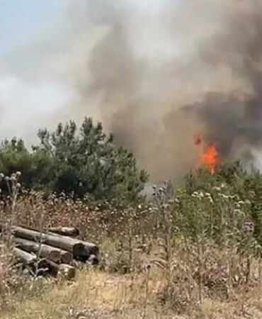 İzmir Buca’da bir orman yangını daha Havadan ve karadan müdahale başladı