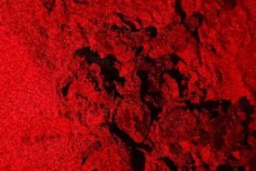 İztuzu Plajı'nda caretta caretta yavruları denizle buluştu...3