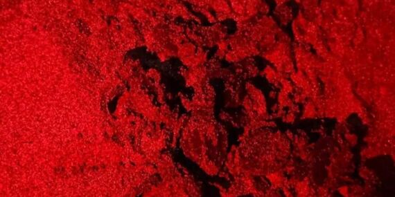 İztuzu Plajı’nda caretta caretta yavruları denizle buluştu…