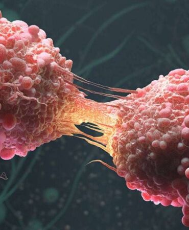 Kanserde devrim niteliğinde gelişme Basit kan testiyle erken müdahale mümkün