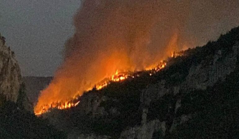 Karabük'te orman yangını 14 köyden 1006 kişi tahliye edildi