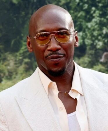 Mahershala Ali’den Blade tepkisi 'Beni bunun dışında bırakın'