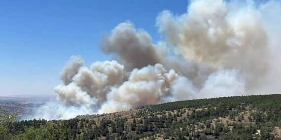 ODTÜ ormanı yakınlarında yangın paniği!