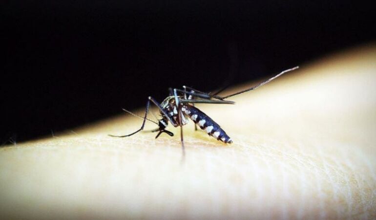 Sıtma ile mücadelede bebekler için yeni umut