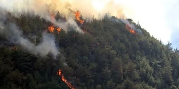 Gelibolu’da içimiz yanıyor; tüm Türkiye kutsal topraklar için Çanakkale’de!