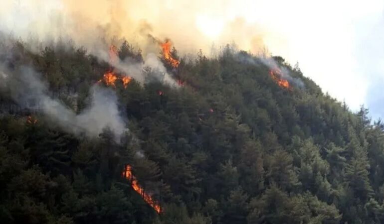 Gelibolu’da içimiz yanıyor; tüm Türkiye kutsal topraklar için Çanakkale’de!