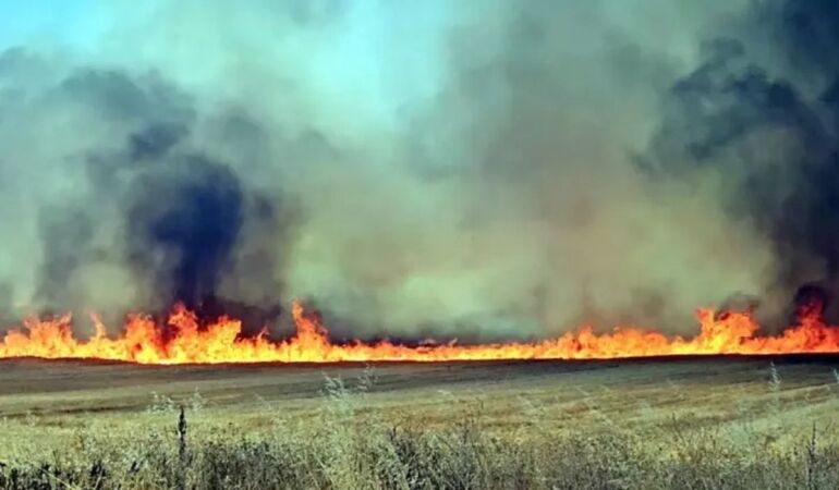 Edirne’de anız yangını: Kara yolu geçici olarak kapatıldı