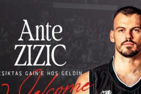 ante-zizic