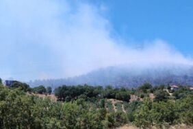 balıkesir orman yangını