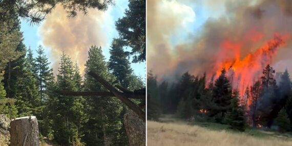 Çankırı’da korkutan orman yangını!