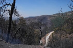 izmir ödemiş yangın