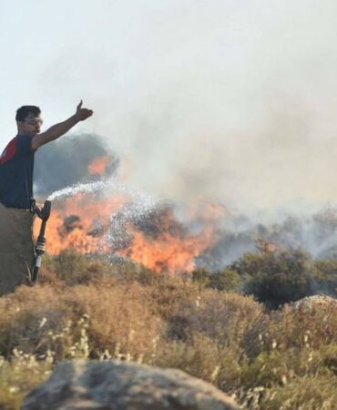 izmir yangın