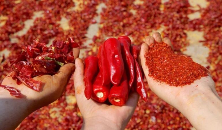 Pul biber ihracatı yükselişte: 6 ayda 7,1 milyon dolarlık satış