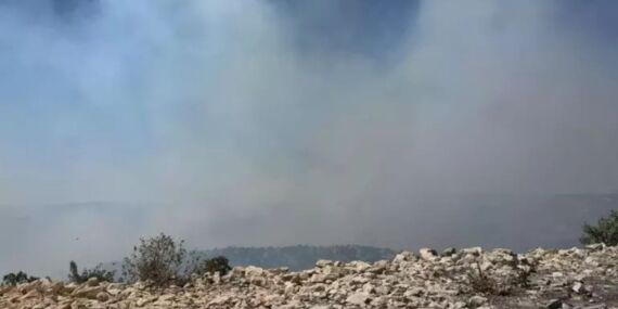 Gabar Dağı’nda korkutan orman yangını!