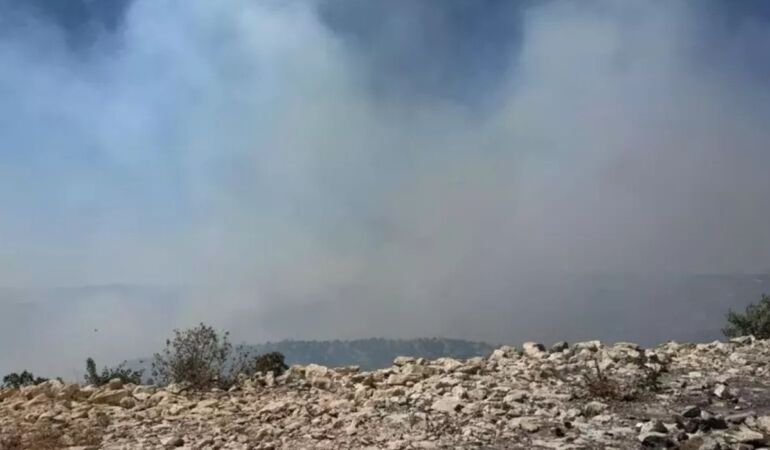 Gabar Dağı’nda korkutan orman yangını!