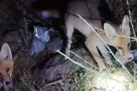 Adsız tasarım - 2025-08-19T164015.471