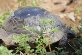 Adsız tasarım - 2025-08-20T144943.875