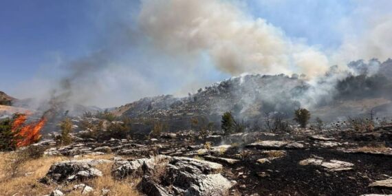 Bingöl’de orman yangını: Müdahaleler devam ediyor!