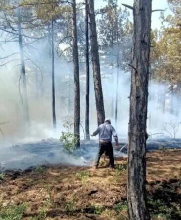 Denizli Honaz’da orman yangını Ekipler havadan ve karadan müdahale ediyor