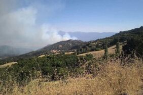 Denizli'de orman yangını Müdahale sürüyor