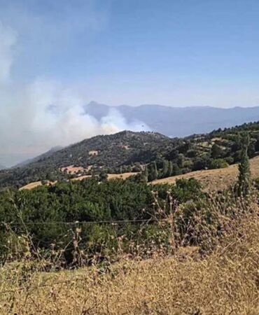 Denizli'de orman yangını Müdahale sürüyor