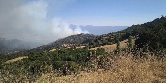 Denizli’de orman yangını: Müdahale sürüyor!