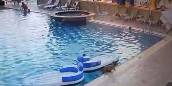 Muğla’da yürek burkan olay: 2 kişi tutuklandı!