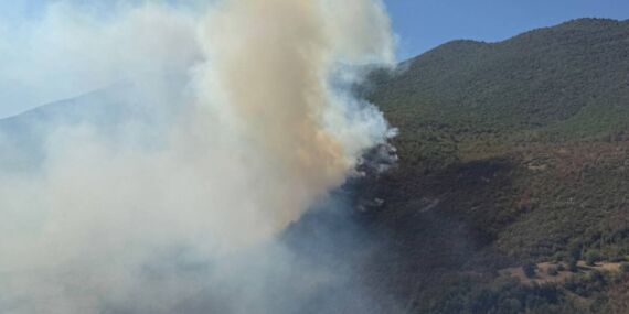 Küre Dağları Milli Parkı’nda orman yangını!