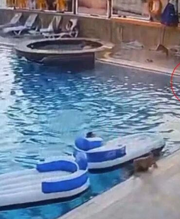 Muğla'da 9 yaşındaki çocuk otel havuzunda boğuldu