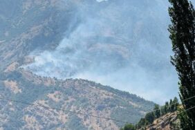 Şırnak Beytüşşebap’ta orman yangını Alevler kontrol altına alınamıyor