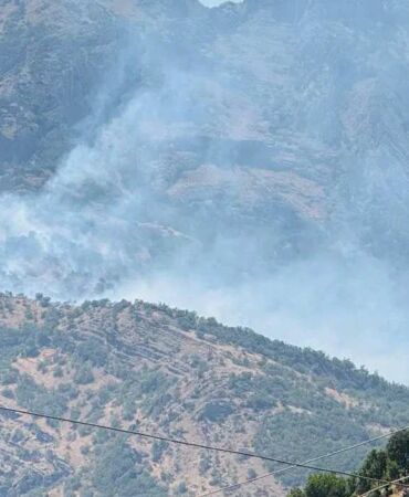 Şırnak Beytüşşebap’ta orman yangını Alevler kontrol altına alınamıyor