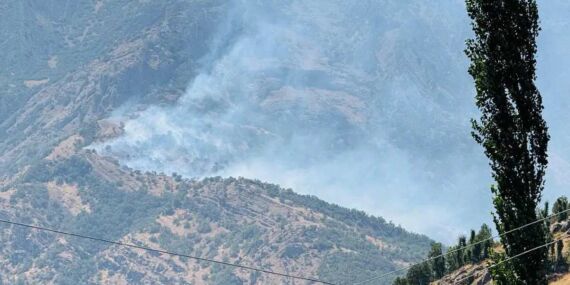 Şırnak Beytüşşebap’ta orman yangını: Alevler kontrol altına alınamıyor!