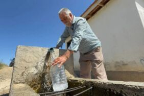 Yer altından kendiliğinden çıkıyor Cilt yaralarına iyi geliyor