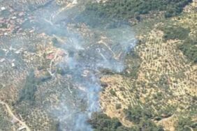 aydında orman yangını