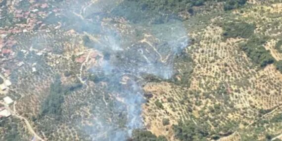 Aydın’da çıkan orman yangını kontrol altına alındı!