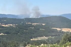 boluda orman yangını çıktı