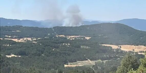 Bolu’da orman yangın çıktı!