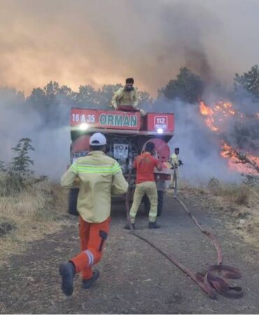 bursa orman yangını
