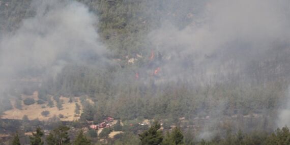 Denizli’de alevler ormanlık alanda sıçradı!