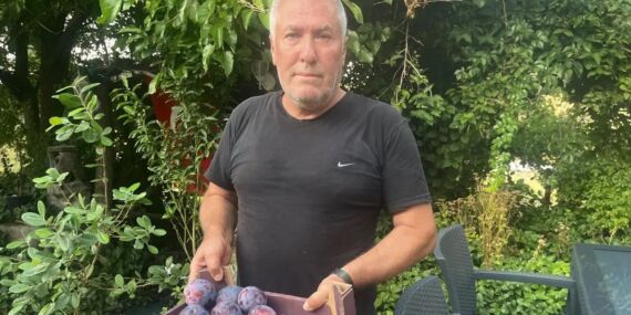 Yüksek rakımda yetişiyor: 5 tanesi 1 kilo ediyor!