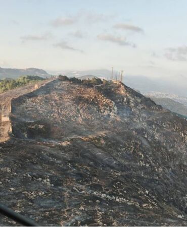 hatay orman yangını