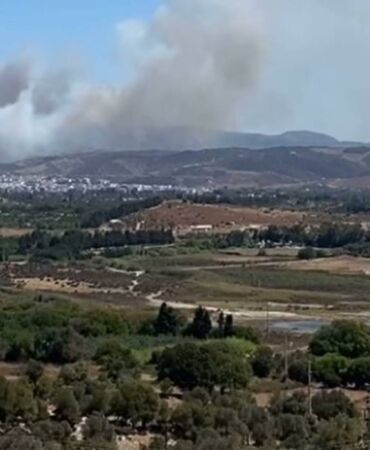 izmir seferihisar orman yangını