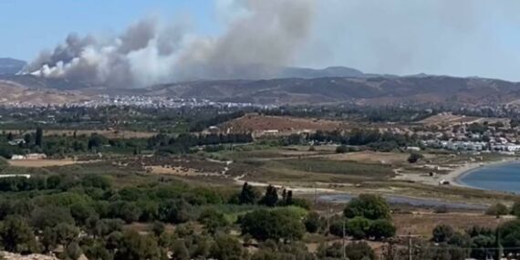 İzmir Seferihisar’da korkutan orman yangını!