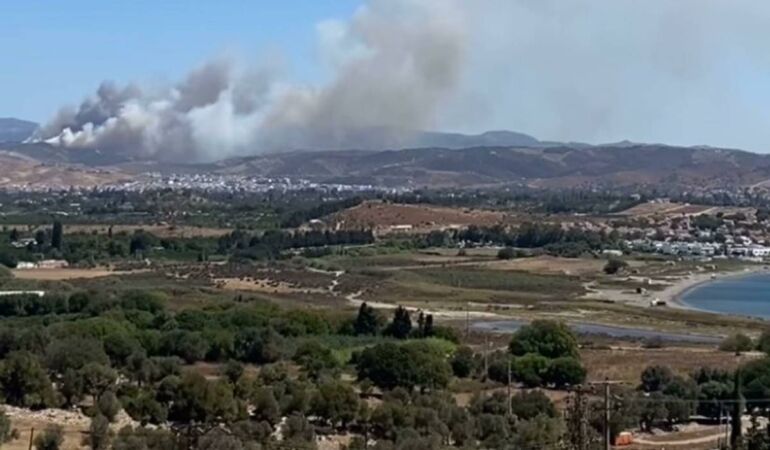 İzmir Seferihisar’da korkutan orman yangını!