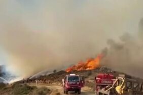 izmirde orman yangını