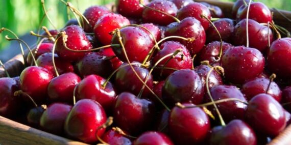 Türkiye’de 1000 TL olan Türk kirazı o ülkede daha ucuz!