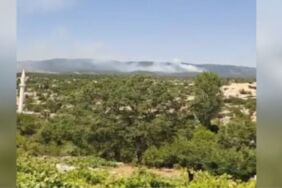 mersinde orman yangını