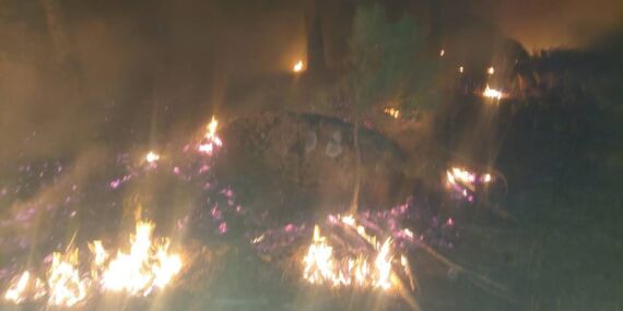 Muğla’da orman yangını: Ekiplerin müdahalesi sürüyor!